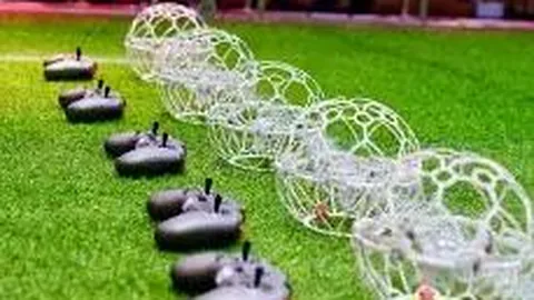 od体育 资讯 114430 b2t