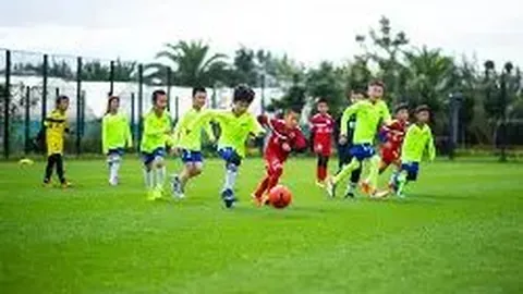 od体育 产品 114412 zg0